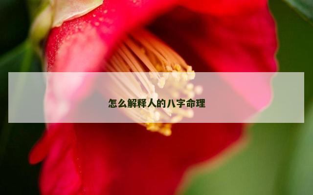 怎么解释人的八字命理