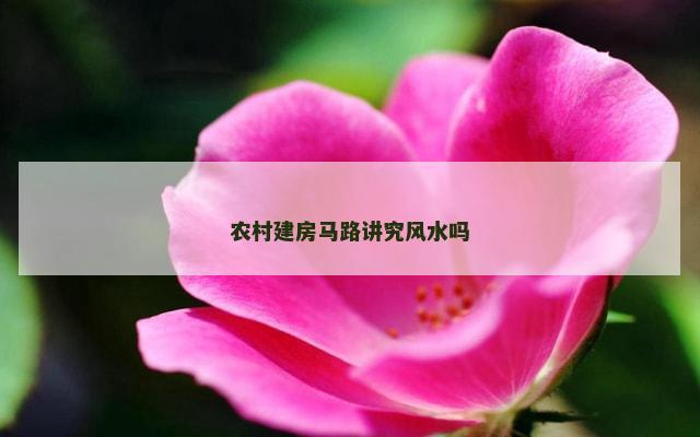 农村建房马路讲究风水吗