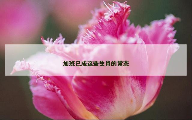 加班已成这些生肖的常态