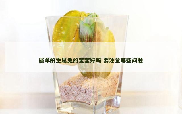 属羊的生属兔的宝宝好吗 要注意哪些问题