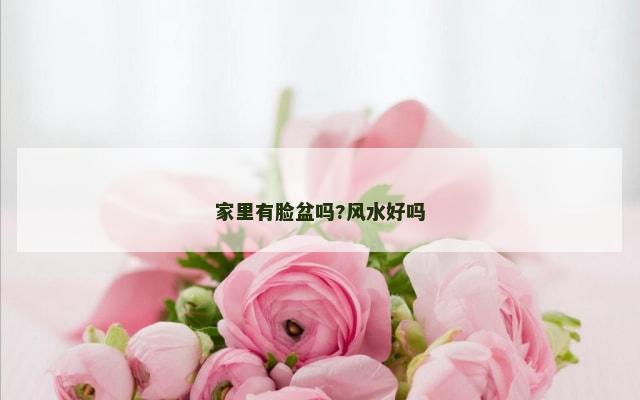 家里有脸盆吗?风水好吗
