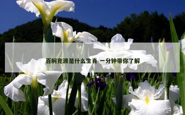 百舸竞渡是什么生肖 一分钟带你了解