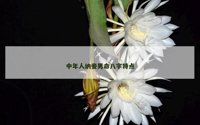 中年人纳妾男命八字特点