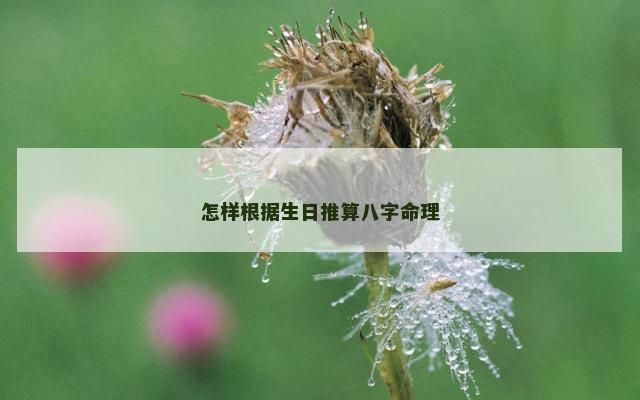 怎样根据生日推算八字命理