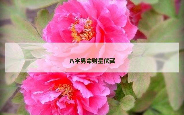 八字男命财星伏藏