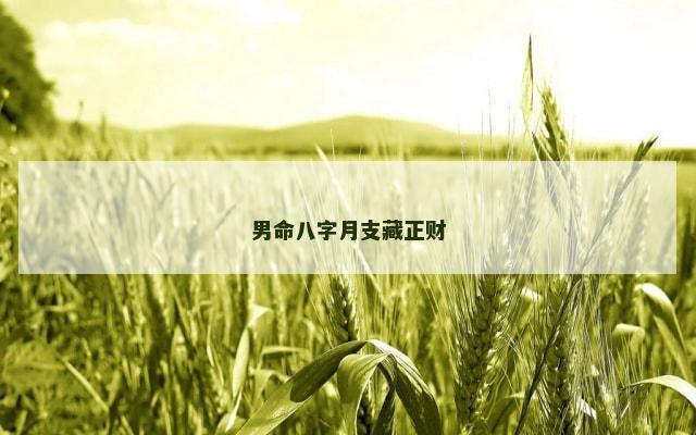 男命八字月支藏正财