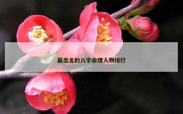 最出名的八字命理人物排行