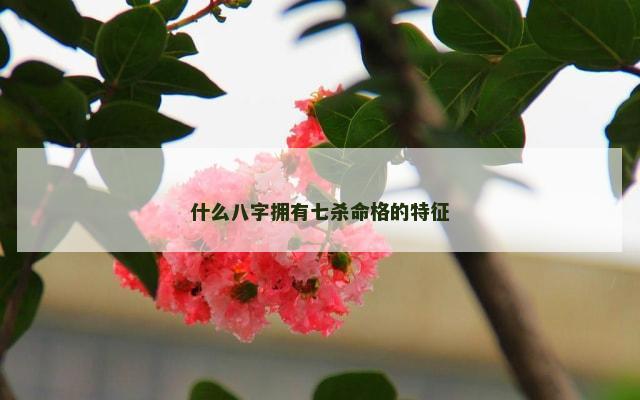 什么八字拥有七杀命格的特征