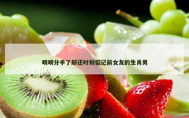 明明分手了却还时刻惦记前女友的生肖男