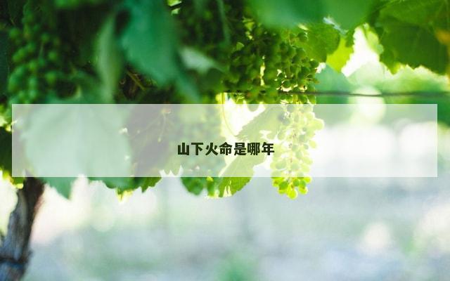 山下火命是哪年