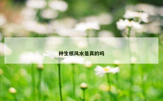 种生根风水是真的吗