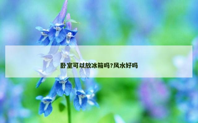 卧室可以放冰箱吗?风水好吗
