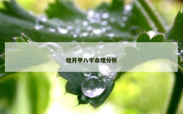 程开甲八字命理分析