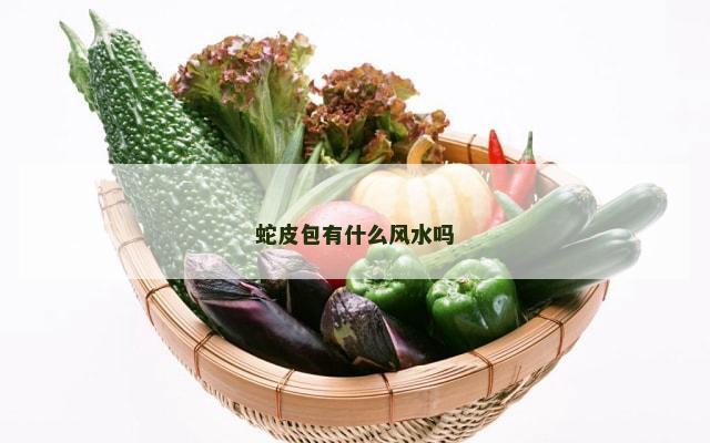蛇皮包有什么风水吗