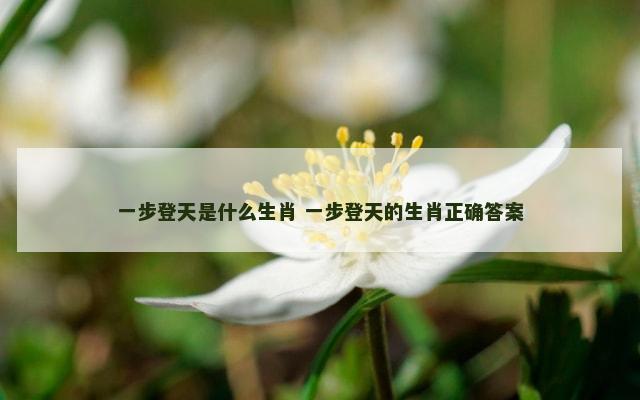 一步登天是什么生肖 一步登天的生肖正确答案