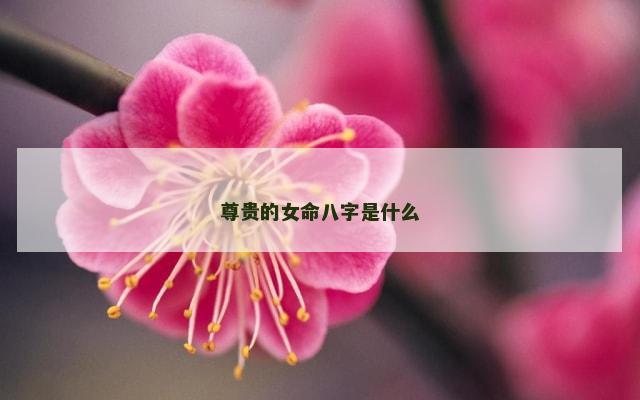 尊贵的女命八字是什么