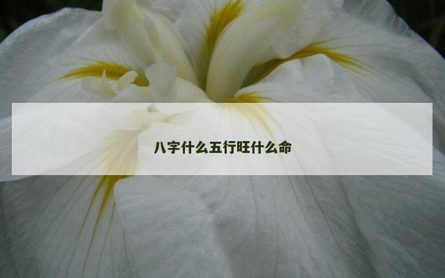 八字什么五行旺什么命