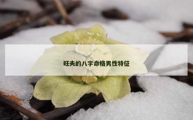 旺夫的八字命格男性特征
