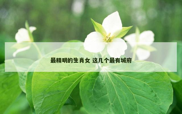 最精明的生肖女 这几个最有城府