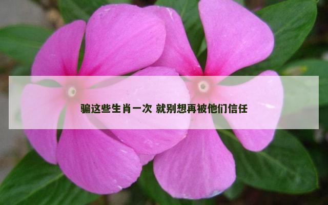 骗这些生肖一次 就别想再被他们信任