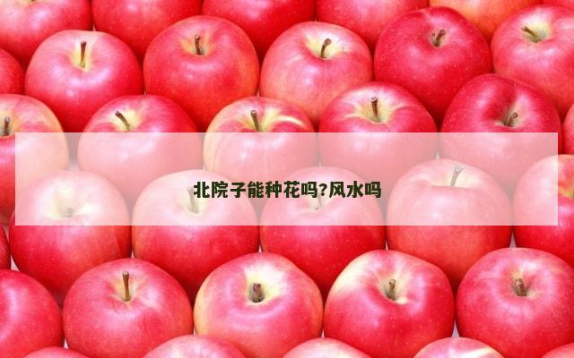 北院子能种花吗?风水吗