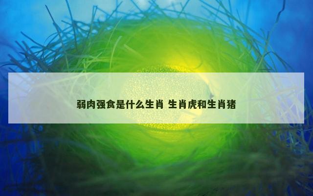 弱肉强食是什么生肖 生肖虎和生肖猪