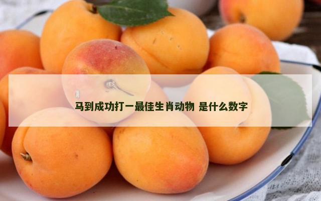 马到成功打一最佳生肖动物 是什么数字