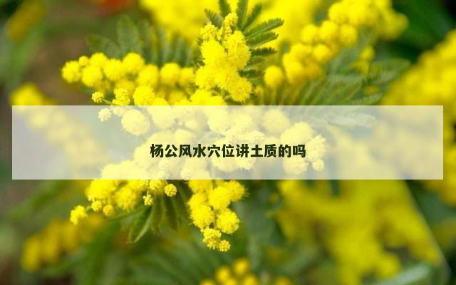 杨公风水穴位讲土质的吗