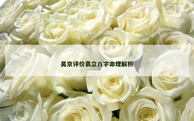 吴京评价袁立八字命理解析