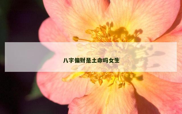八字偏财是土命吗女生