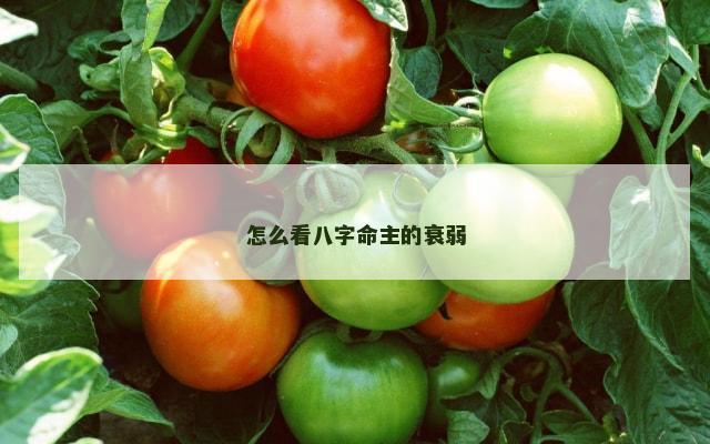 怎么看八字命主的衰弱