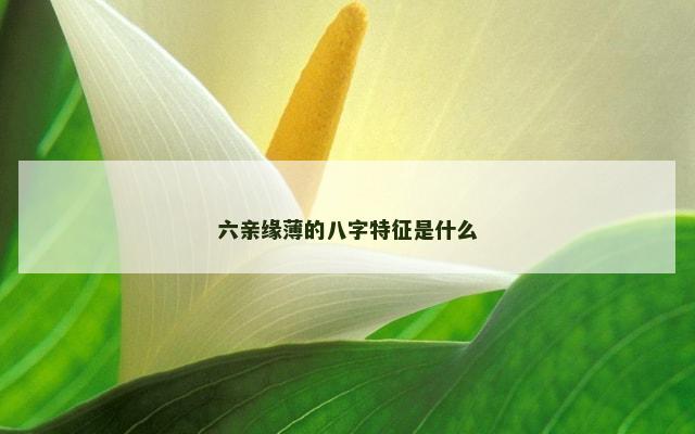 六亲缘薄的八字特征是什么