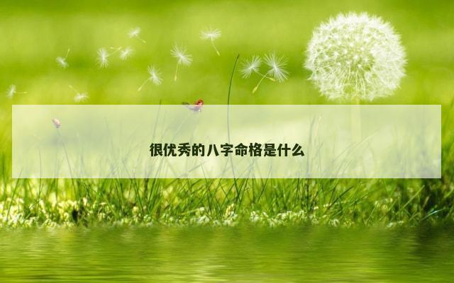 很优秀的八字命格是什么