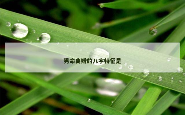 男命离婚的八字特征是