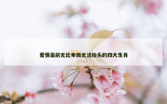 爱情面前无比卑微无法抬头的四大生肖