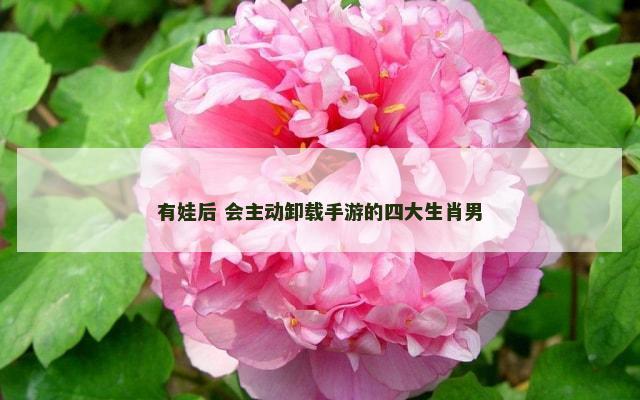 有娃后 会主动卸载手游的四大生肖男