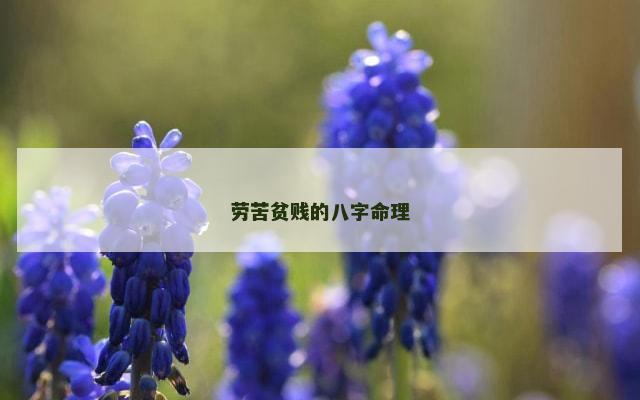 劳苦贫贱的八字命理