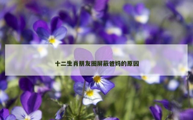 十二生肖朋友圈屏蔽爸妈的原因