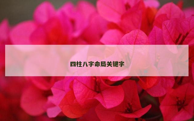 四柱八字命局关键字