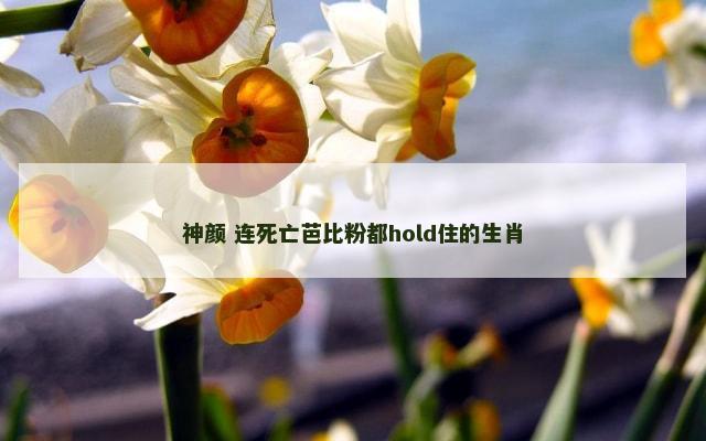 神颜 连死亡芭比粉都hold住的生肖
