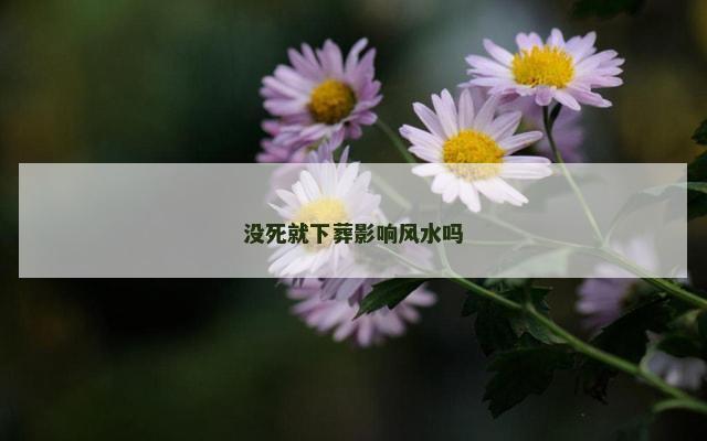 没死就下葬影响风水吗