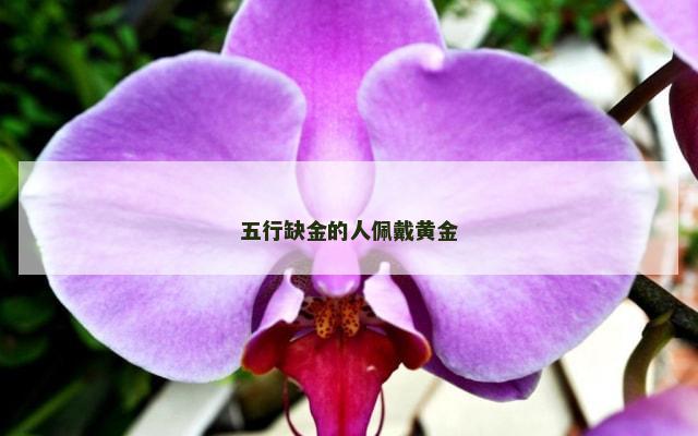 五行缺金的人佩戴黄金