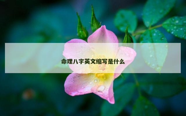 命理八字英文缩写是什么