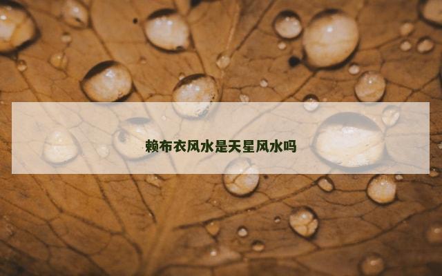 赖布衣风水是天星风水吗