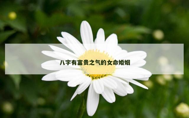 八字有富贵之气的女命婚姻