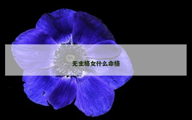 无主格女什么命格