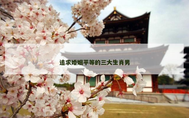 追求婚姻平等的三大生肖男