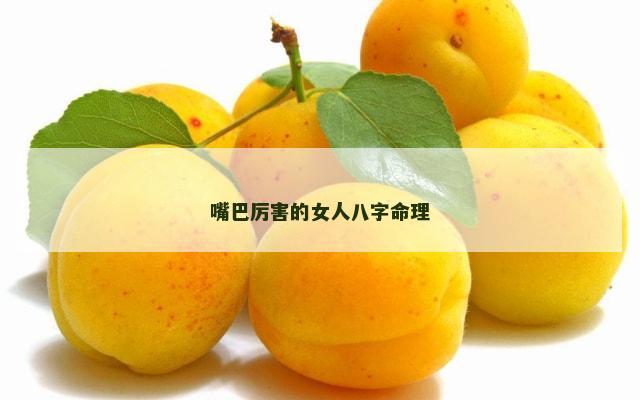 嘴巴厉害的女人八字命理