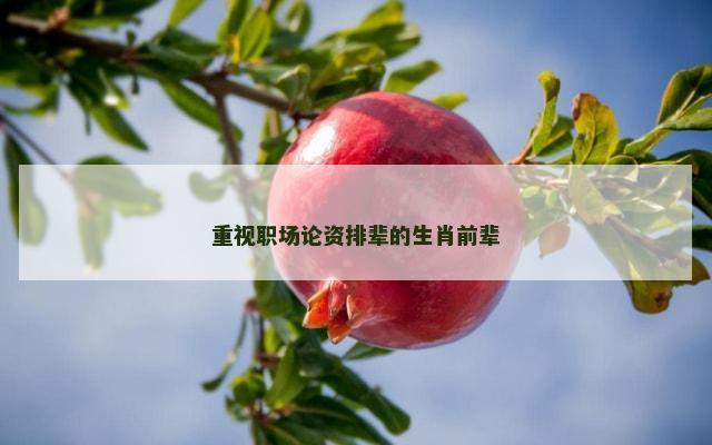 重视职场论资排辈的生肖前辈