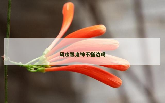 风水跟鬼神不搭边吗
